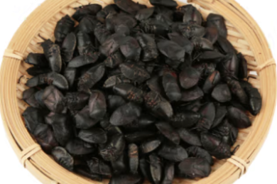 人教版初中化学教材&ldquo;化学反应的定量关系&rdquo;单元设计与教学问题解析&rdquo;